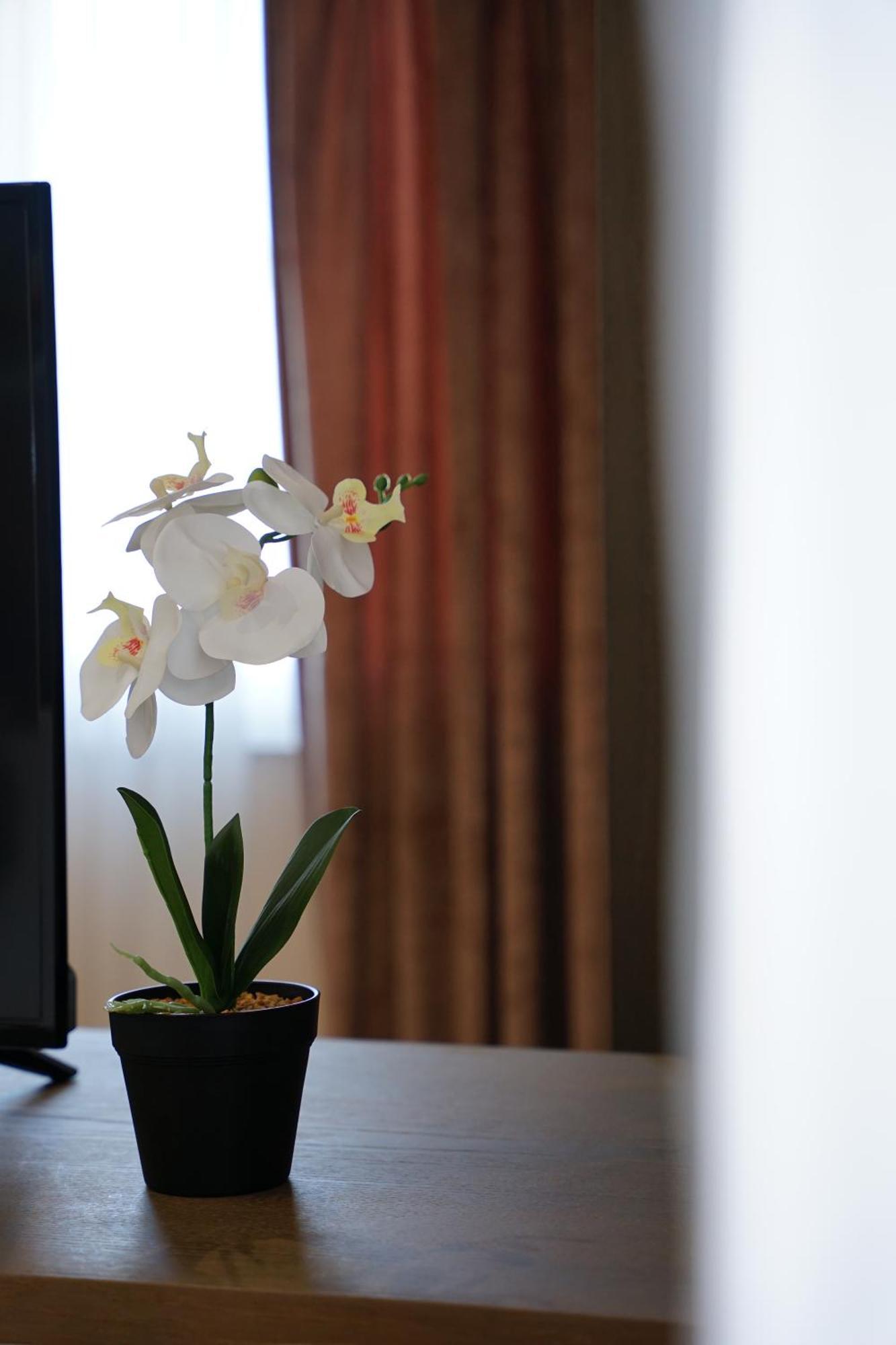 Doanesia Premium Hotel & Spa Тирана Экстерьер фото